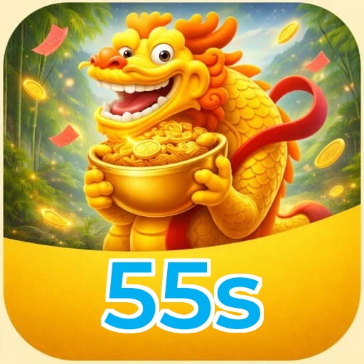 55s Installation