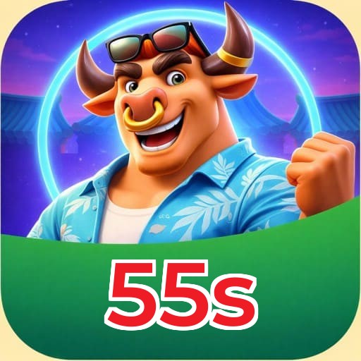 55s Setup Guide